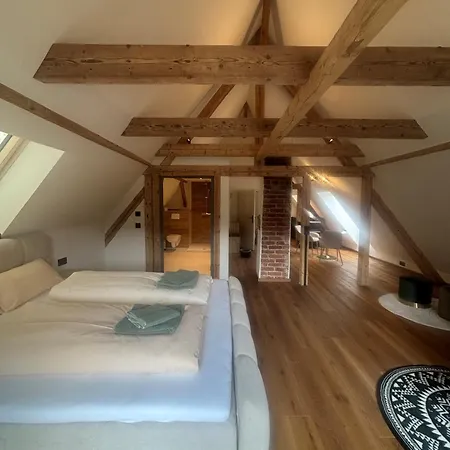 Urlaub Im Baudenkmal - Frisch Saniertes Loft Fuer Zwei Personen Apartment