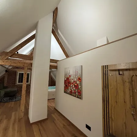 Urlaub Im Baudenkmal - Frisch Saniertes Loft Fuer Zwei Personen Feldberg (Baden-Wurttemberg)